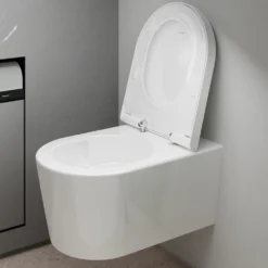 Hansgrohe EluPura S Wall-Mounted AquaFall Flush Toilet With Soft Close Seat -Victorian Plumbing Shop 62021450 1