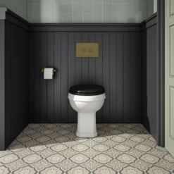 Trafalgar 2-Button Flush Plate - Antique Brass -Victorian Plumbing Shop tdvp 14561 59 btw toilet with black seat antique brass flush front