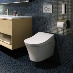 Toto Washlet RG Rimless Wall Hung Shower Toilet & Remote Control -Victorian Plumbing Shop ttwhwcrg d2