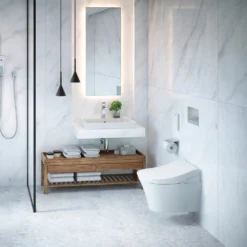 Toto Washlet RG Rimless Wall Hung Shower Toilet & Remote Control -Victorian Plumbing Shop ttwhwcrg d3